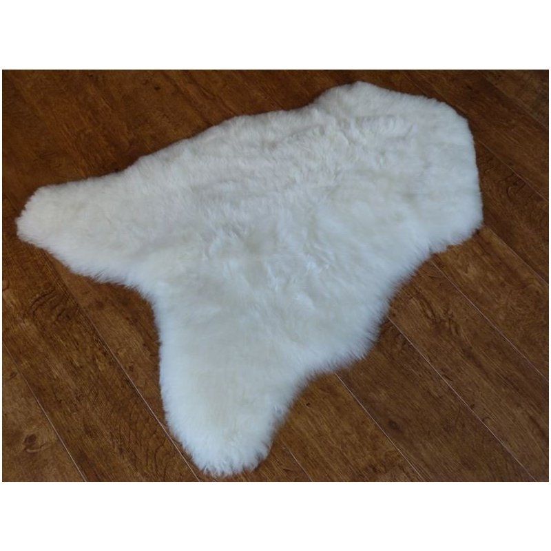 Valkoinen lampaantalja, Icelandic, lyhyt karva