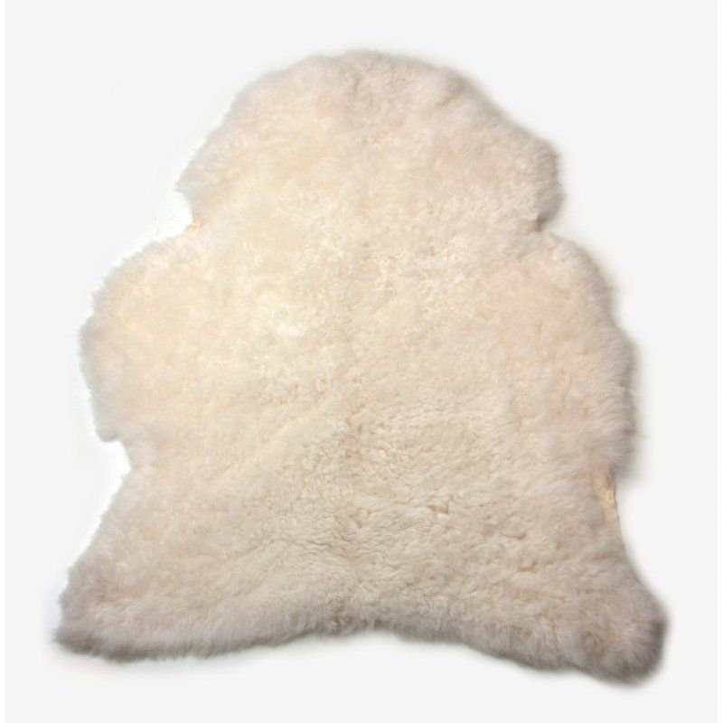 Valkoinen lampaantalja, Icelandic, lyhyt karva