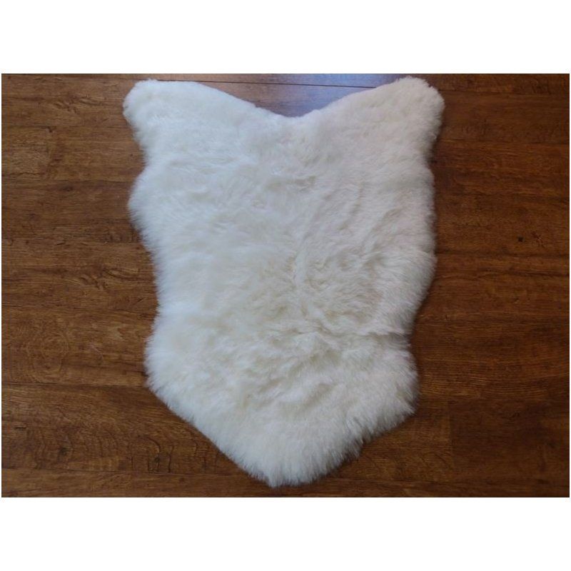 Valkoinen lampaantalja, Icelandic, lyhyt karva