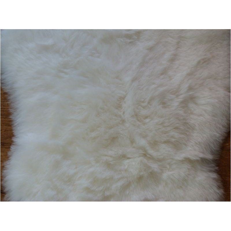 Valkoinen lampaantalja, Icelandic, lyhyt karva