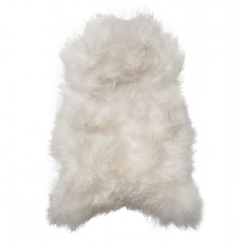 Valkoinen lampaantalja, Icelandic