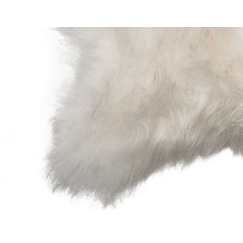 Valkoinen lampaantalja, Icelandic