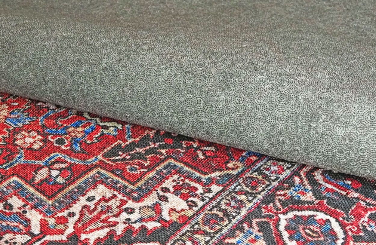 Nefertiti matto, eri kokoja