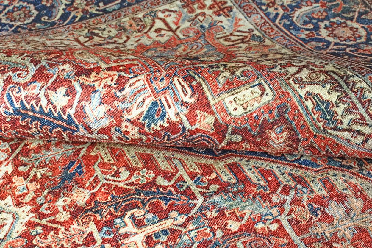 Aurelia matto, eri kokoja