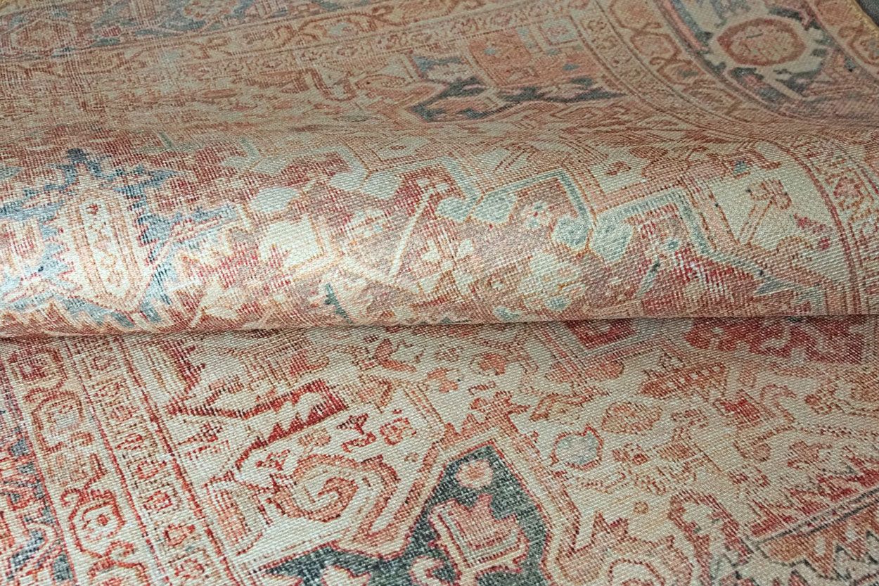 Nubia matto, eri kokoja