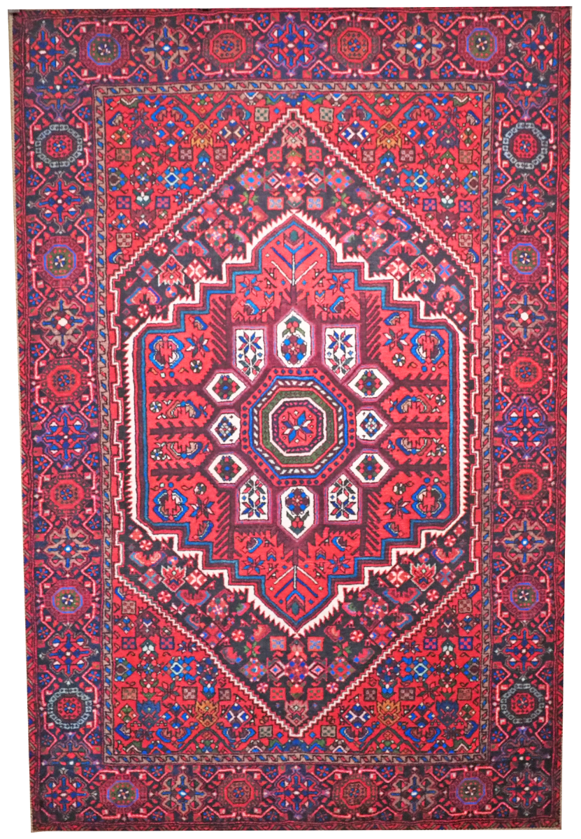 Cleopatra matto, eri kokoja